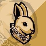 Rabbit inu🐰 indonesia