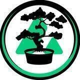 Bonsai AVAX 🔺(Minting Now! Token Launch Soon!)