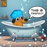$Perfect