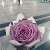 🌴فوائد سلفية للنساء🌴