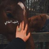 - بـنت الهَـادي.