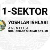 Qoziguzar MFY Yoshlari