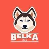 Belka Inu | Presale TBA
