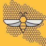 꿀벌 Chat 🐝