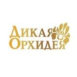 Дикая Орхидея