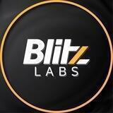 블리츠랩스 채팅방(Blitz-Labs Chat)