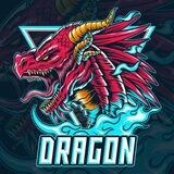 ️Dargon Store️