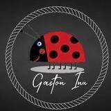 Gaston Inu portal