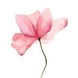 Букетная Olala Flowerss 🌺