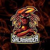 Salamander ERC Portal