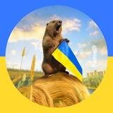 Куп'янськ Телеграм / Kupyansk Telegram ➔ 🇺🇦