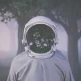 FreeEvents
