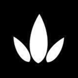Bambu Announcement