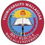 WallagaUniversity_CCD