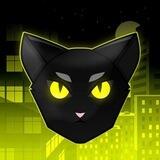 Black Cat 🐈‍⬛