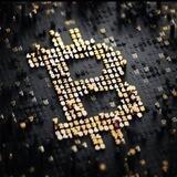 M__ CRYPTO__ Trader