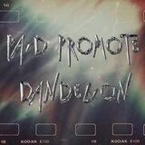 𝐏aid 𝐏romote