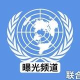 联合国曝光反诈群