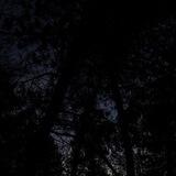 ·٠•●🌲 Ƹ̵̡Ӝ̵̨̄Ʒ 🌲●•٠·ج҉َ҉ن҉گ҉َ҉ل҉ ت҉آ҉ر҉ی҉ک·٠•●🌲 Ƹ̵̡Ӝ̵̨̄Ʒ 🌲●•٠·