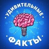 УДИВИТЕЛЬНЫЕ ФАКТЫ 🧠