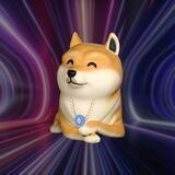 Dogereum | Entry