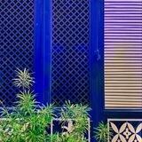 النور والمسرّة 💙