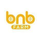 BNB Farm Offical Chat