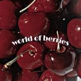 (🍒))𝑤𝑜𝑟𝑙𝑑 𝑜𝑓 𝑏𝑒𝑟𝑟𝑖𝑒𝑠