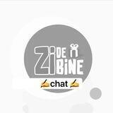 Zi de Bine_чат