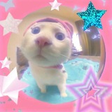 ⋆ chitta