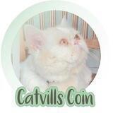 CatvillsCoin中文共识群