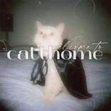 закрыто!¡ catth𖣠me