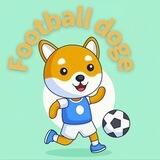 Football doge