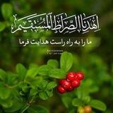کانال ماموستا فواد محمدی