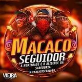 MACACO REFERENCIA