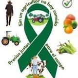 LISTADO VENDEDORES Del campo a la mesa