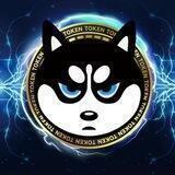 SHIBcoin黑柴资本🇭🇰太空资本🇨🇳