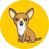 BabyCHH Community Global🇨🇳🇺🇸🇬🇧🇯🇵🇰🇷🇦🇺🇹🇭etc