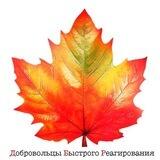 Добровольцы Быстрого Реагирования