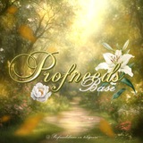 OPEN || PROFNEEDS BASE.