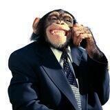 MONKEY GANG
