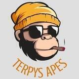 🍌 Terpys Lounge 🍌