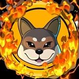 ShikoBurn Portal