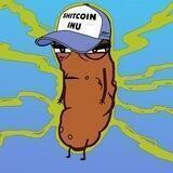 SHITCOIN INU BSC ENTRY PORTAL