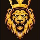 Lion 🦁 - Chat