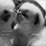Wᥱᥣᥣ 𑀥᧐ᥒᥱ