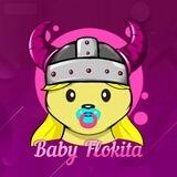 Baby Flokita — PORTAL