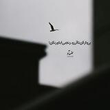 •ضِمآدیآ•