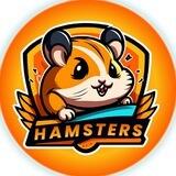 Hamsters