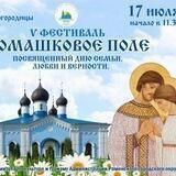 Фестиваль в честь Дня семьи, любви и верности "Ромашковое поле"